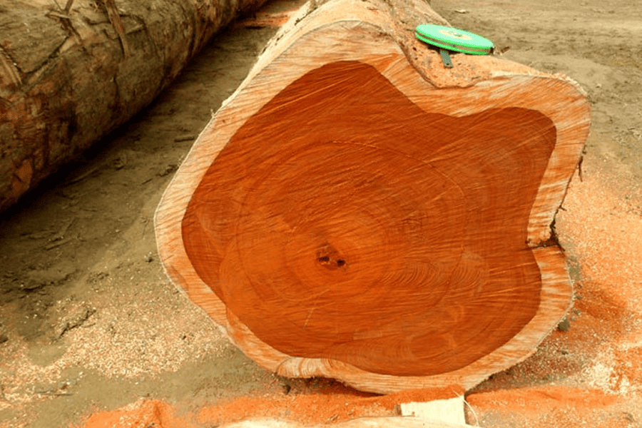 Bàn gỗ tự nhiên - gỗ teak