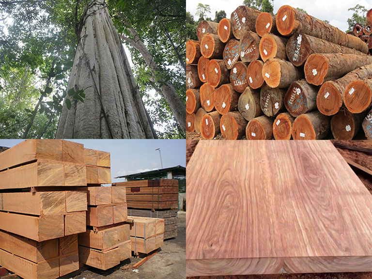 Ảnh khung tranh gỗ sồi treo phòng khách: “Khung tranh gỗ sồi cao cấp phong cách hiện đại”